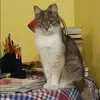 Отзыв от Гульнара Трошина